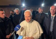 Pope Leo makes Holy Week appeal to Trump, world leaders to end Iran war