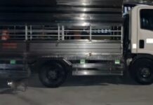 Parked Truck Loses Fuel to ‘Sipsip-Diesel’ Modus in Fairview, Quezon City