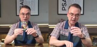 Alan Peter Cayetano Explains Senate Tension to Nephew Using “Pokemon” Framework
