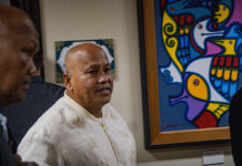 Dela Rosa to seek Supreme Court review of restraining order rejection