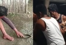 ‘Cobra King’ In Leyte Reportedly Dies After Snake Bite Incident