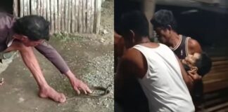 ‘Cobra King’ In Leyte Reportedly Dies After Snake Bite Incident
