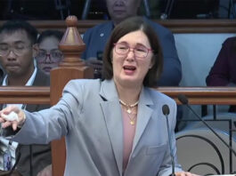 Pia Cayetano’s ‘takot na takot ako’ remarks on Senate shooting draw skepticism