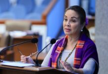 Loren Legarda Pushes P200 Salary Increase For Private Sector Employees