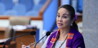 Loren Legarda Pushes P200 Salary Increase For Private Sector Employees