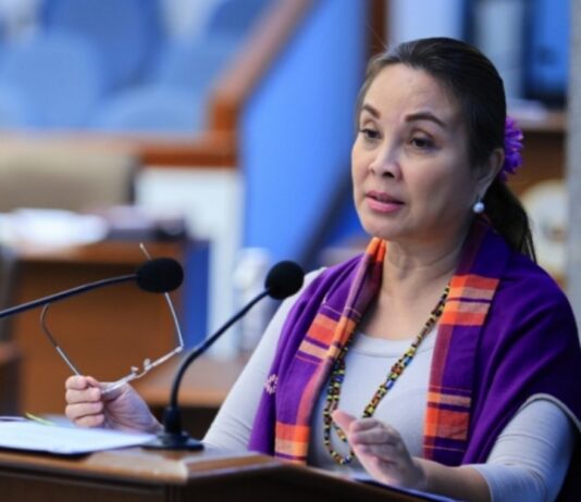 Loren Legarda Pushes P200 Salary Increase For Private Sector Employees