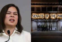 Sara Duterte Claims Dangerous Power Play After Senate Gunfire Scare