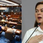 Who Can Replace the Vice President If the Position Becomes Vacant