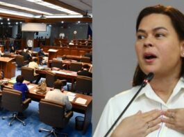Who Can Replace the Vice President If the Position Becomes Vacant