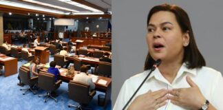 Who Can Replace the Vice President If the Position Becomes Vacant