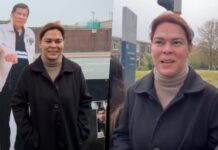 Sara Duterte ‘Radiant with Hair Dye’ amid Alleged Political Persecution