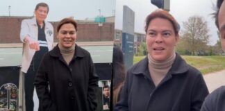 Sara Duterte ‘Radiant with Hair Dye’ amid Alleged Political Persecution