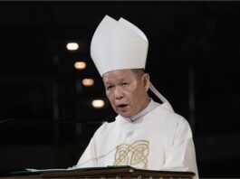 Media must serve truth, dignity — Manila cardinal