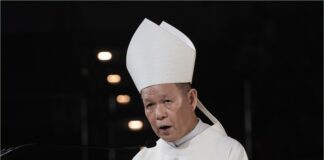 Media must serve truth, dignity — Manila cardinal