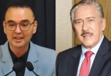 Alan Peter Cayetano Is The New Senate President