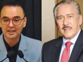 Alan Peter Cayetano Is The New Senate President