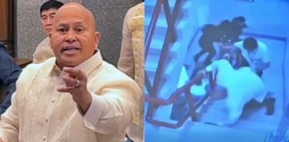 Bato dela Rosa Running In Senate Building, Celebrities React