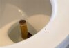 King Cobra Found Inside Resort Toilet Shocks Guests