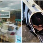 Customer Disappointed After Fast-Food Chain Refused to Allow Her Pet Dog Inside