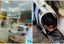 Customer Disappointed After Fast-Food Chain Refused to Allow Her Pet Dog Inside
