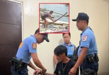 Man Arrested After Allegedly Killing Dog in Bataan: ‘Pinayagan ako ng owner’