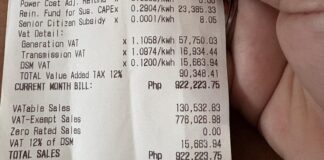 Female Netizen Shocked After Receiving Nearly P1 Million Electric Bill