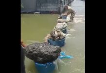 Barangay Tanod Create Improvised Flood Control in Hagonoy, Bulacan