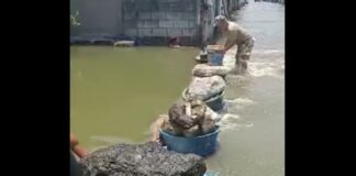 Barangay Tanod Create Improvised Flood Control in Hagonoy, Bulacan