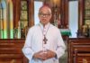 Prelate decries mass tree cutting in Manila for expressway project