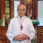 Prelate decries mass tree cutting in Manila for expressway project