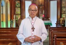 Prelate decries mass tree cutting in Manila for expressway project