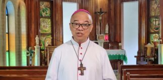 Prelate decries mass tree cutting in Manila for expressway project
