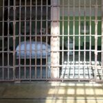 Inmate Found Dead After Severe Beating Inside Jail Cell in Cebu
