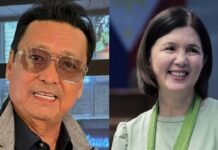 Lito Lapid Says “Mahal kita” To Pia Cayetano