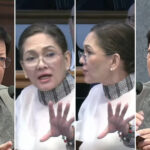 Marcoleta’s ‘legal background’ jab at Hontiveros draws backlash