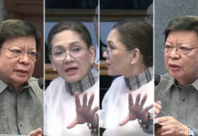 Marcoleta’s ‘legal background’ jab at Hontiveros draws backlash