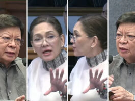 Marcoleta’s ‘legal background’ jab at Hontiveros draws backlash