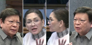 Marcoleta’s ‘legal background’ jab at Hontiveros draws backlash