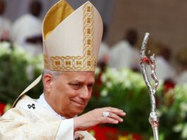 Pope Leo signals shift away from Catholic Church’s focus on sex