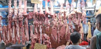 Philippines raises pork import quota to boost local supply