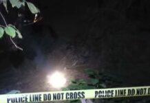 Son Arrested After Allegedly Killing His Elderly Mother in Benguet