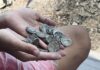 Young Lady Smiles After Coins Recovered From Burned Home Reach Over P100