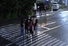 LTO Employee Arrested After Allegedly Hitting 2 Women on Pedestrian Lane in Antipolo City