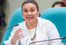 Loren Legarda Urges Public Not to Misinterpret Her Trip Abroad
