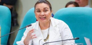 Loren Legarda Urges Public Not to Misinterpret Her Trip Abroad