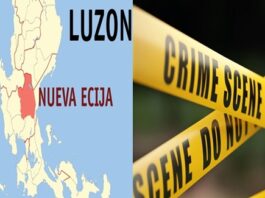 Woman Allegedly Pays ₱29K to Have Former Coworker Killed in Nueva Ecija