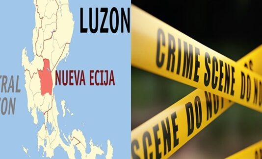 Woman Allegedly Pays ₱29K to Have Former Coworker Killed in Nueva Ecija