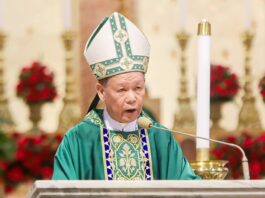 Cardinal calls for action beyond security after school shooting
