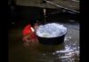 Baby Placed Inside Plastic Bag to Be Rescued From Deep Floodwaters