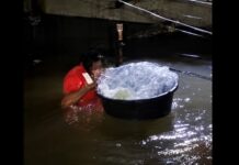 Baby Placed Inside Plastic Bag to Be Rescued From Deep Floodwaters